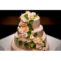 Traiteur - Wedding Cake. 20 personnes.